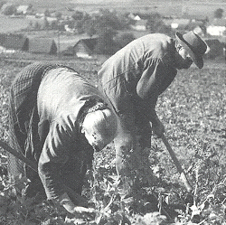 August und Elisabeth Hmel: Landwirtschaft in Lichenroth