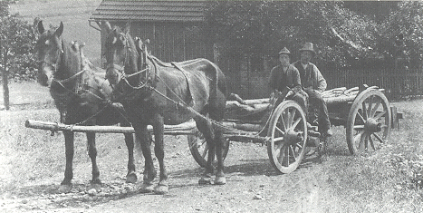 Langholztransport mit Pferdewagen in Lichenroth