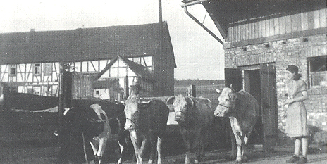 Liesel Dahmer: Landwirtschaft in Lichenroth