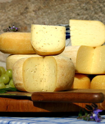 Oberländer Rohmilchkäse vom Kastanienhof in Lichenroth