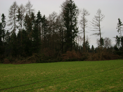 Sturmschden durch den Orkan Kyrill im Oberland in 2007