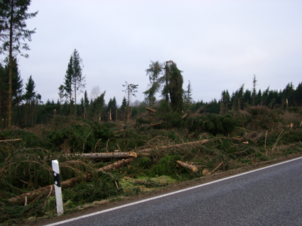 Sturmschden durch den Orkan Kyrill im Oberland in 2007